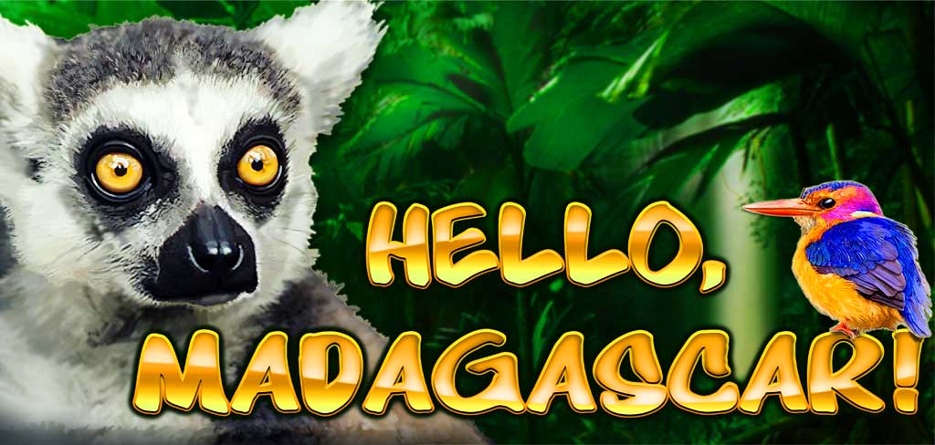 Hello, Madagascar!