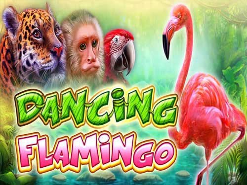 Dancing Flamingo
